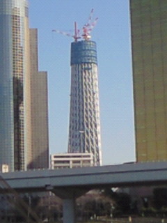 美容と健康の魔法の杖-201001271251000.jpg
