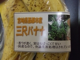 美容と健康の魔法の杖