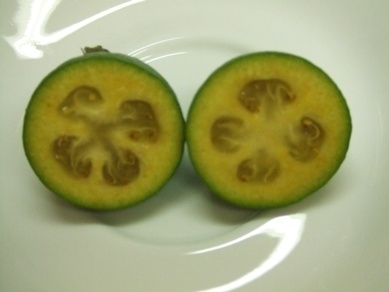 美容と健康の魔法の杖-kiwi